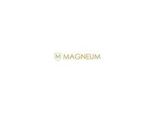 
      
      Magneum awarded the Most Impactful Management and Strategy...
      
      