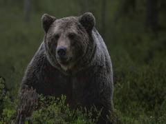 
      
      Kava, KDA, RBA: Cryptocurrency tokens to watch this bear market
      
      