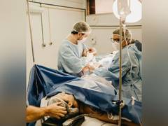 
      
      Increased risk of preterm birth and underweight newborns
      
      