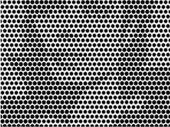 
      
      Spot hidden celeb in this optical illusion
      
      