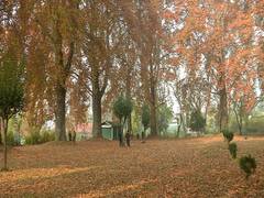
      
      J-K: Mughal Garden becomes major tourist attraction in Autumn...
      
      