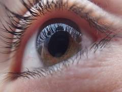 
      
      Researchers find AI-supported test could lead to early...
      
      