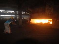 
      
      Maithan Alloys Q3 profit flat sequentially at Rs 55 crore
      
      