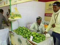 
      
      Madhya Pradesh: Mango festival organised for tribal sellers...
      
      