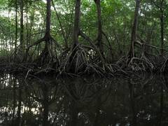 
      
      Environmentalists criticise AP govt over housing project on...
      
      