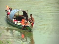 
      
      Dams along Mekong by China threatening farmers and fish in...
      
      