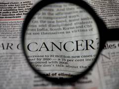 
      
      Study provides new insights into how immune system responds...
      
      
