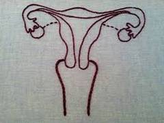 
      
      Why women lack libido as they age?
      
      
