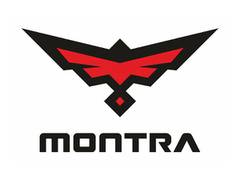
      
      TII announces its electric vehicles under Montra brand
      
      