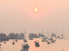 
      
      Mumbai: People welcome 2020 at Gateway of India
      
      