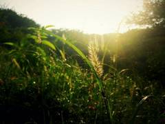 
    Spending time in nature can reduce stress, researchers suggest
    
