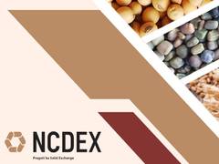 
      
      NCDEX agri-derivatives market share tops 80 pc
      
      
