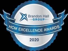 
      
      NIIT earns 30 Brandon Hall awards jointly with customers
      
      
