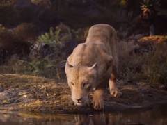 
      
      'The Lion King' new teaser: Hear Beyonce as Simba's bae for...
      
      