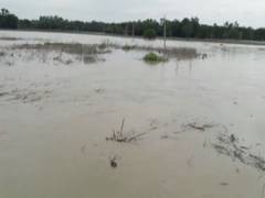
      
      Floods wreak havoc in Nalbari district of Assam
      
      