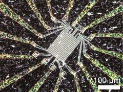 
      
      Researchers fabricate metallic nanowire network with...
      
      