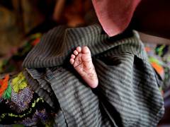 
      
      French nationals going 'childfree' to control...
      
      