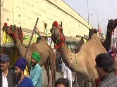 
      
      Nihang Sikhs arrive on camels at Delhi's Ghazipur border to...
      
      