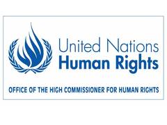 
      
      UN Rights office calls for early release of Saudi women's activist
      
      