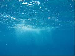 
      
      Surface clean-up technology will not solve ocean plastic...
      
      