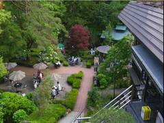 
      
      Okutama area in Japan provides beautiful view of nature
      
      