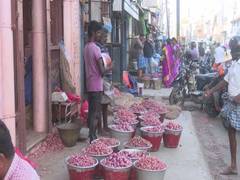 
      
      TN: Onion prices shoot up in Madurai due to rains
      
      