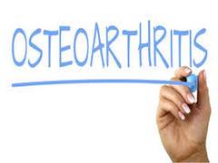 
      
      Synthetic joint lubricant could potentially treat osteoarthritis
      
      