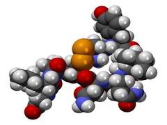
      
      'Love hormone' oxytocin could be used to treat cognitive...
      
      