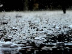 
      
      Pakistan: 6 killed, 18 injured after roof collapses 
      
      