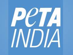 
      
      It's impossible to be truly eco-friendly without going vegan: PETA
      
      
