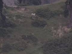 
      
      Pak Army raises white flag at LoC to recover bodies of its...
      
      
