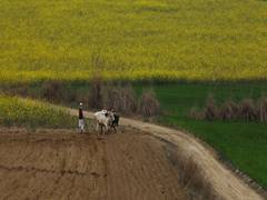
      
      Pak Finance Ministry refuses subsidy on fertilizers
      
      