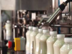 
      
      Parag Milk Foods to raise Rs 316 crore for expansion
      
      