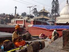 
      
      Nepal: Pashupatinath Temple re-opens after second wave of COVID-19
      
      