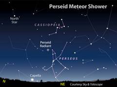 
      
      Perseid meteor shower to be visible from August 11
      
      
