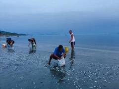 
      
      Philippines: Mindoro residents find thousands of fish near...
      
      