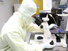 
      
      Large number of pharmaceutical consortiums to develop mRNA...
      
      