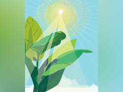 
      
      Scientists turn to computers to understand C4 photosynthesis...
      
      