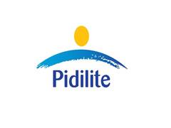 
      
      Pidilite Industries reports 11% consolidated net sales growth...
      
      