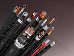 
      
      Electrical major Polycab to buyout Ryker from Singapore-based...
      
      