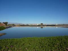 
      
      First life form on Earth may have bred in ponds, finds study
      
      