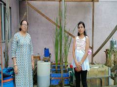 
      
      IIT Guwahati researchers develop technique to mitigate acid...
      
      