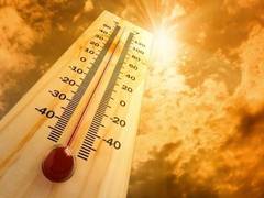 
      
      Heat wave warning issued for parts of Gujarat, central Maharashtra
      
      