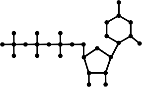 
      
      Protein complex clears potential traffic jams in RNA...
      
      