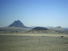 
      
      Pak forces compel Baloch drivers to march through desert: Report
      
      