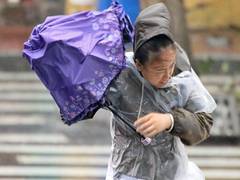 
      
      Typhoon hits South Korea, kills three 
      
      