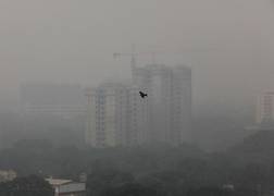 
      
      Here's how to survive from hazardous air pollution in Delhi
      
      