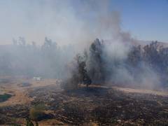
      
      California firm agrees to pay $13.5 billion to wildfire victims
      
      