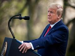 
      
      COVID-19 fatalities to peak in two weeks in US: Trump
      
      
