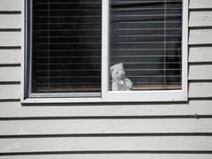 
      
      Washington imposes stay indoors order amid coronavirus outbreak
      
      